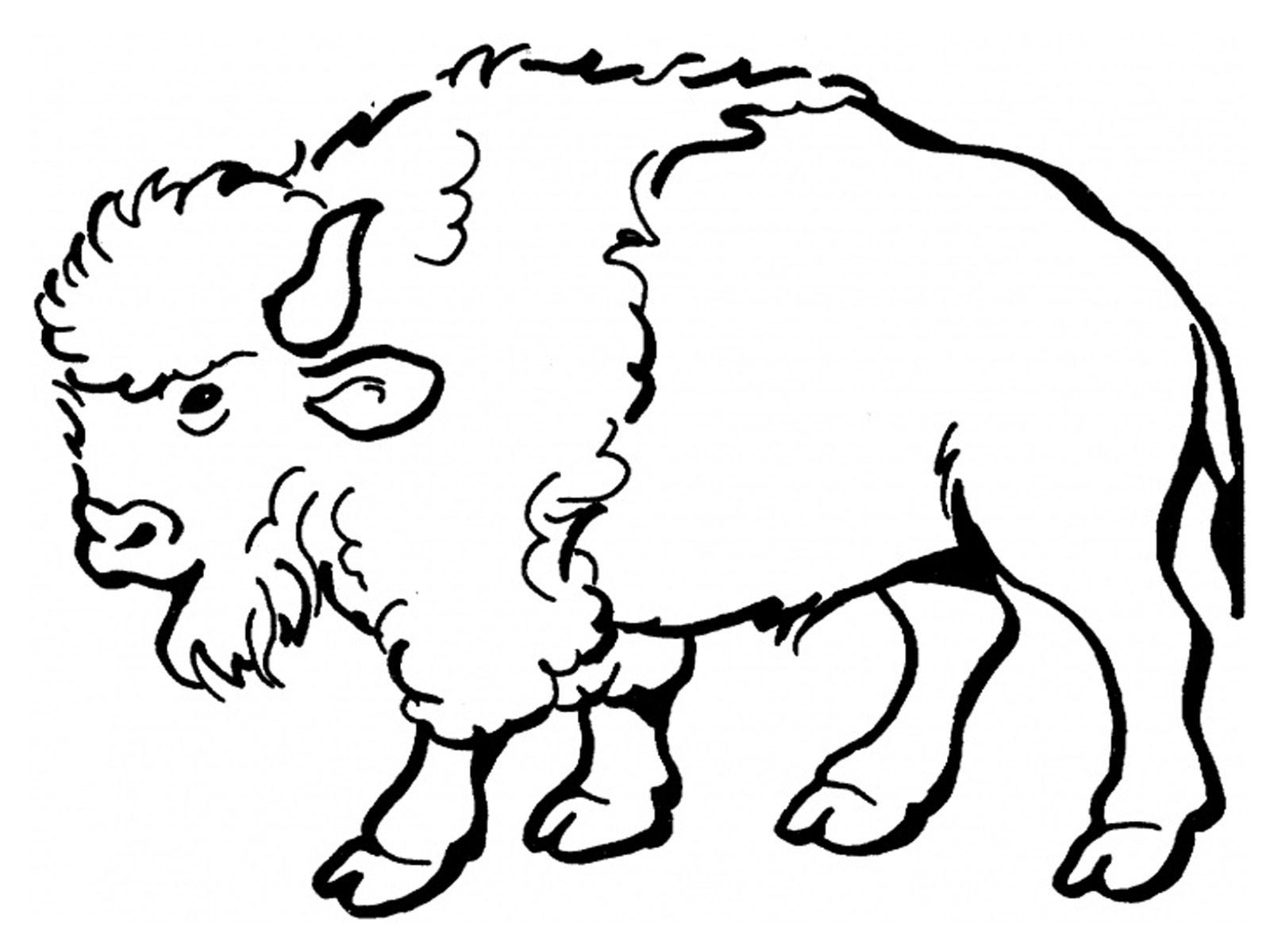 1600x1200 Free Buffalo Image Black And White, Download Free Buffalo Image Black And White png image, Free ClipArts on Clipart Library