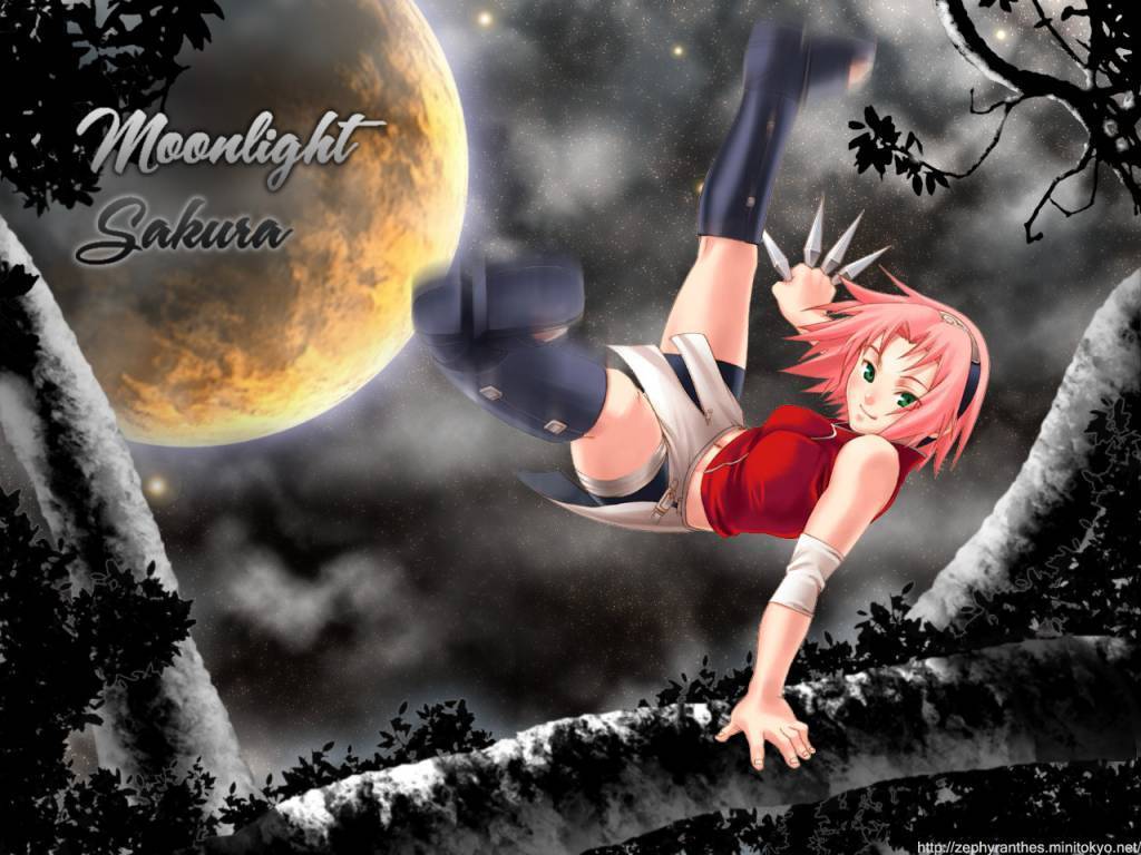 1024x768 Sakura Haruno 3D HD