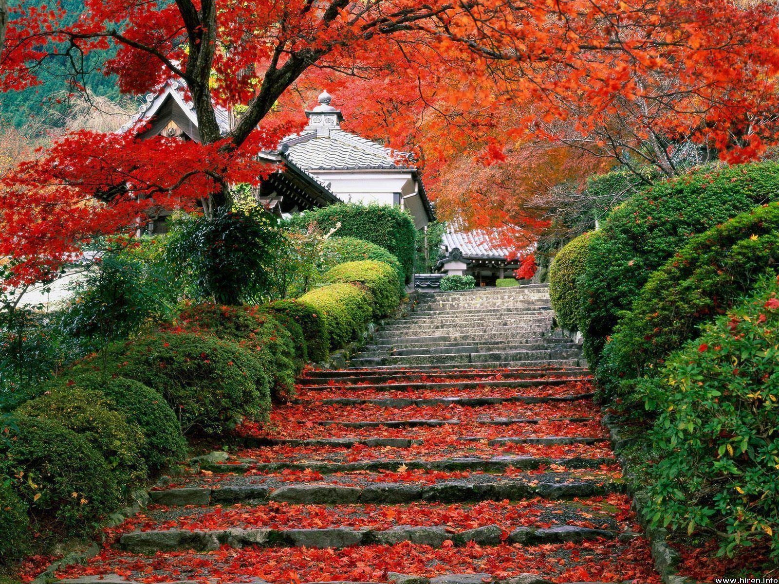 1600x1200 Wallpaper Japan Beautiful Places Background
