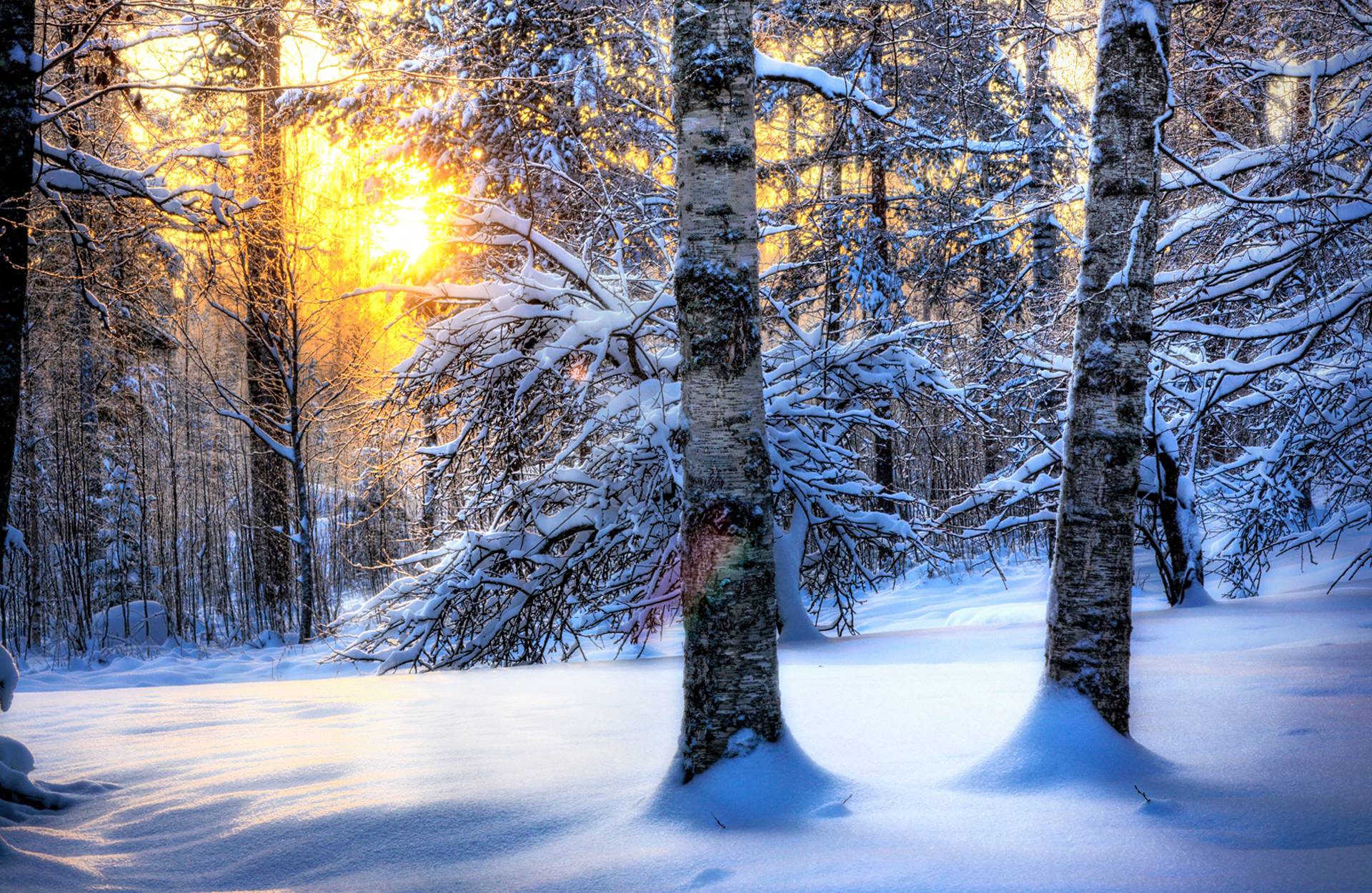 1920x1250 Free Winter Computer Background