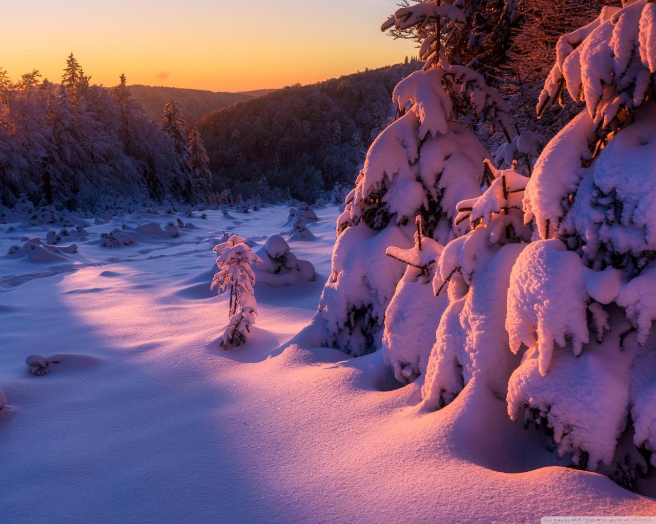 1280x1024 Winter Sunset Landscape Ultra HD Desktop Background Wallpaper for 4K UHD TV : Widescreen & UltraWide Desktop & Laptop : Multi Display, Dual Monitor : Tablet