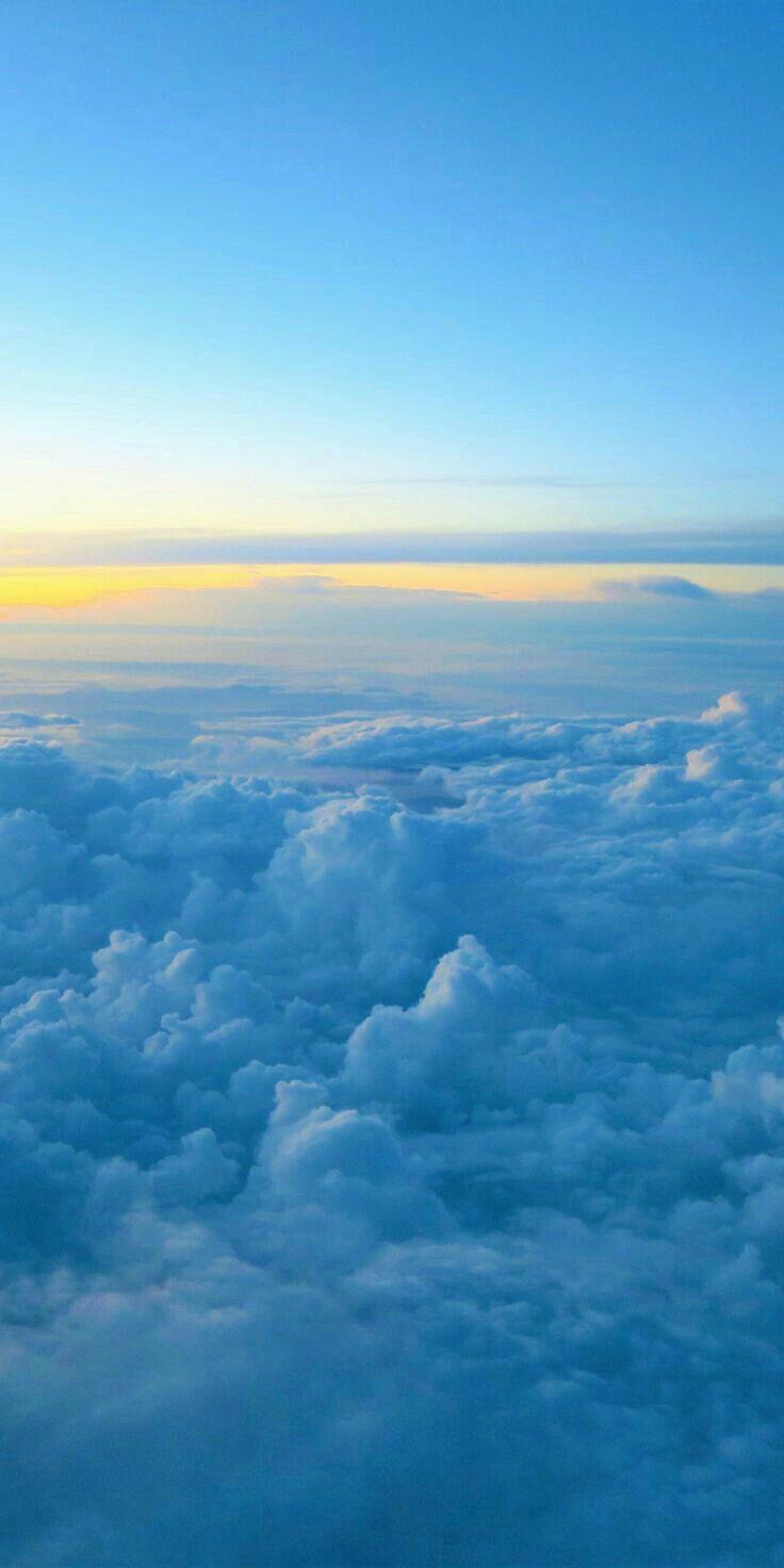 736x1472 Aesthetic Pict