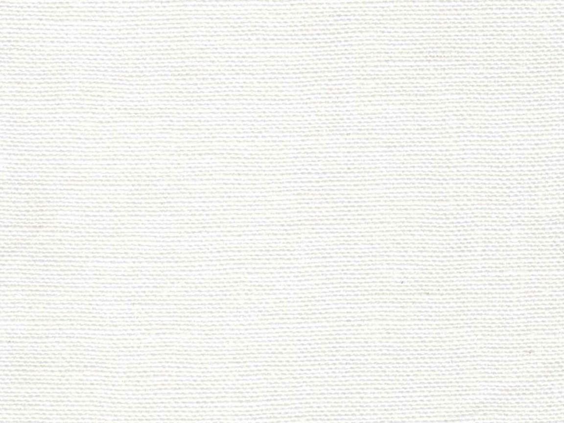 White Background Photos Download The BEST Free White Background Stock  Photos  HD Images