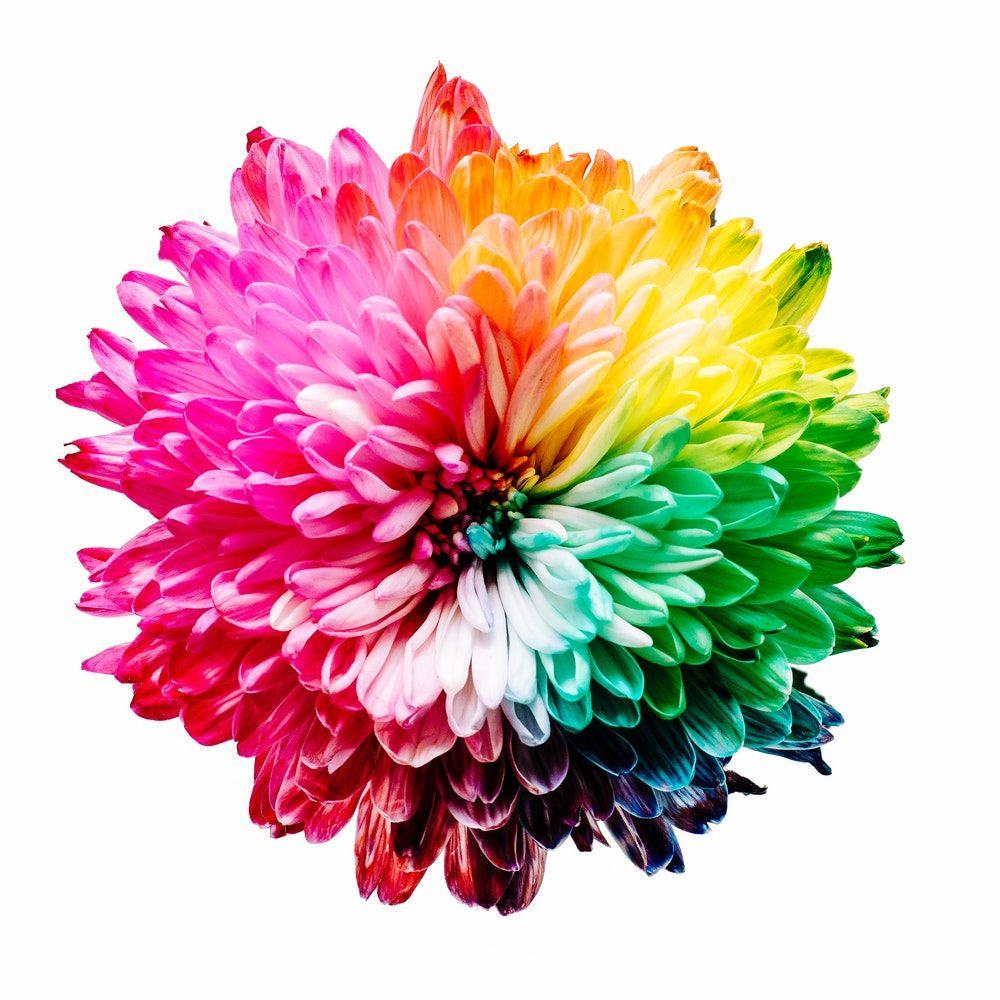 Hình ảnh cầu vồng 1000x1000 [HD)
