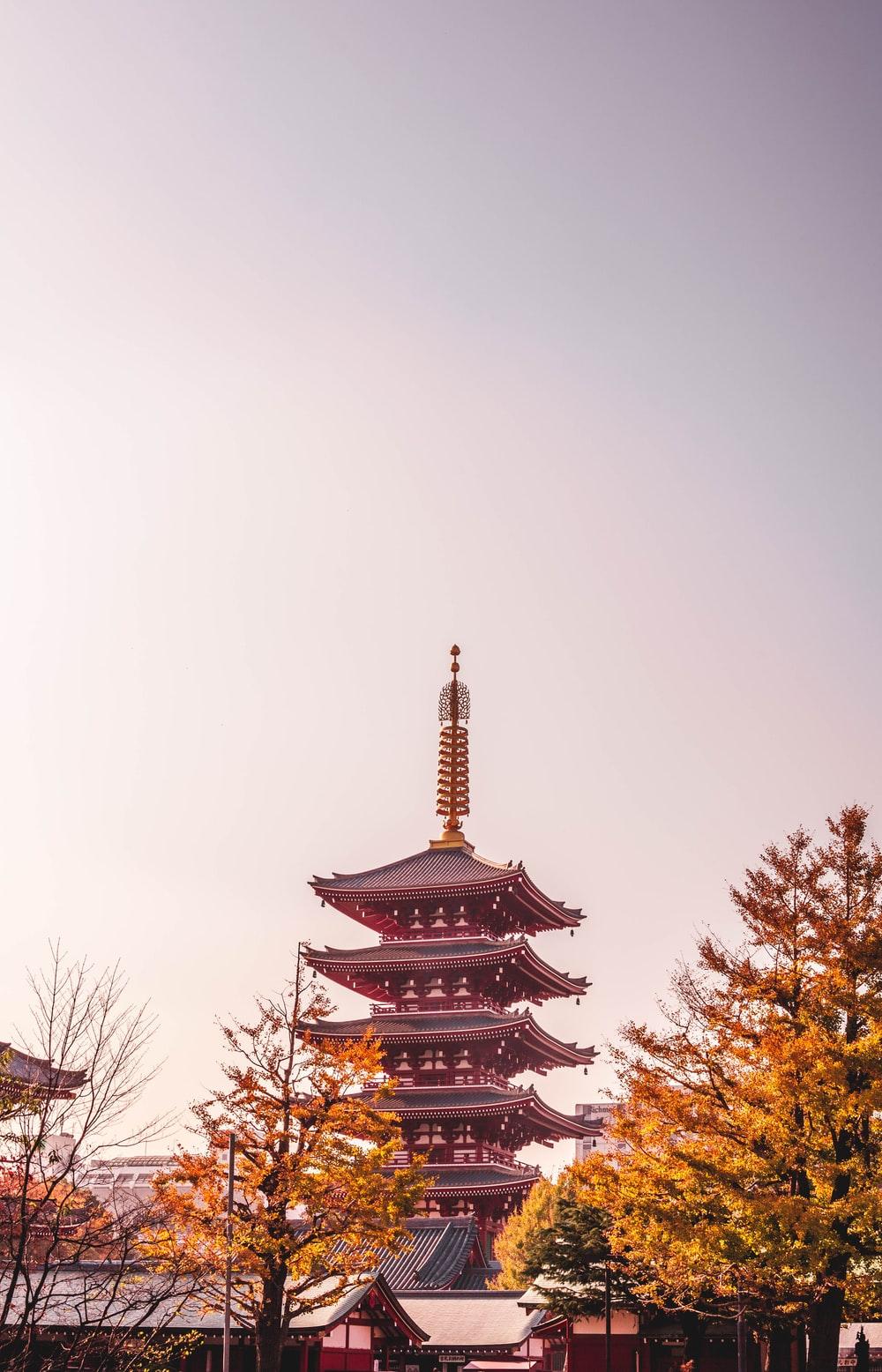 1000x1556 Sensoji Temple, Asakusa, Japan during daytime photo