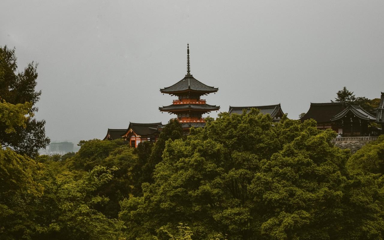 1280x800 Wallpaper 4k pagoda, trees, architecture, kyoto prefecture, japan 4k Wallpaper