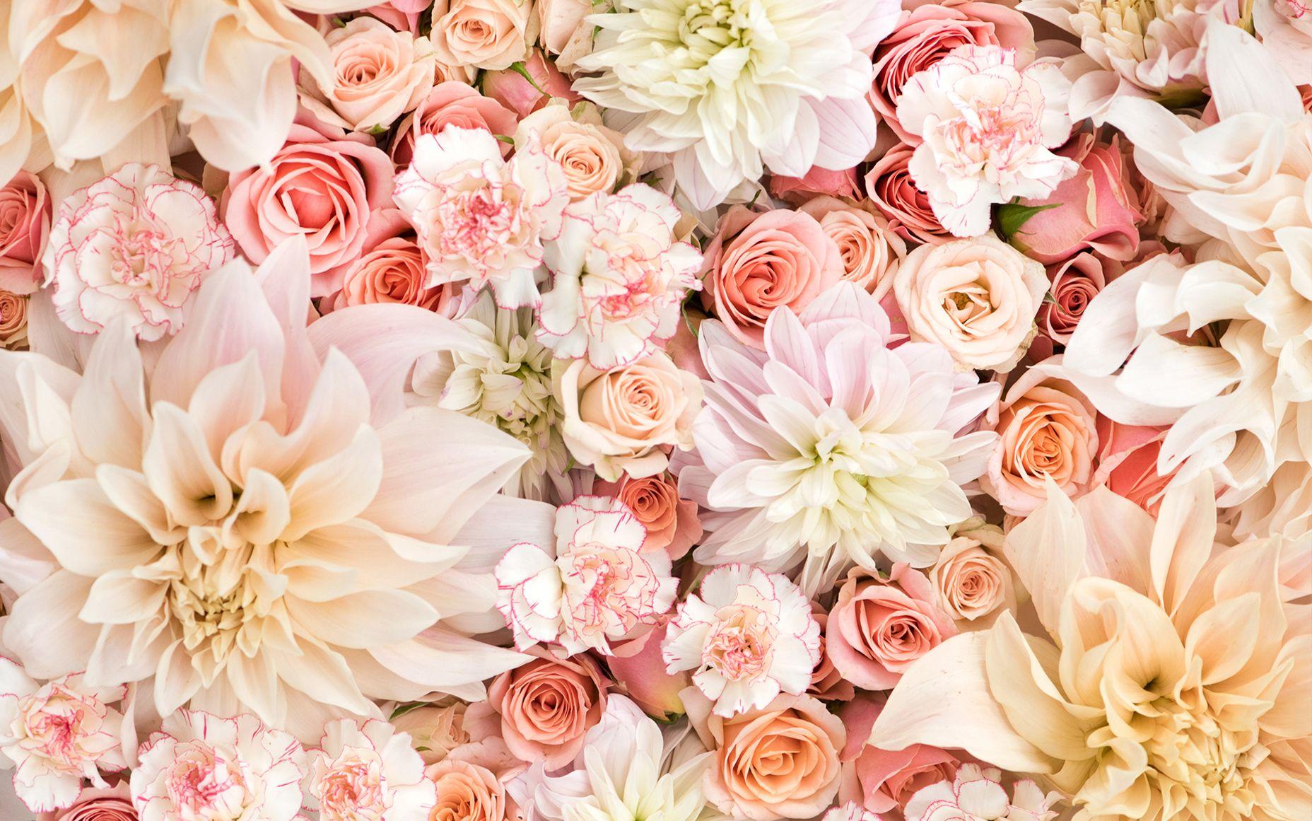 1856x1161 Wallpaper Floral