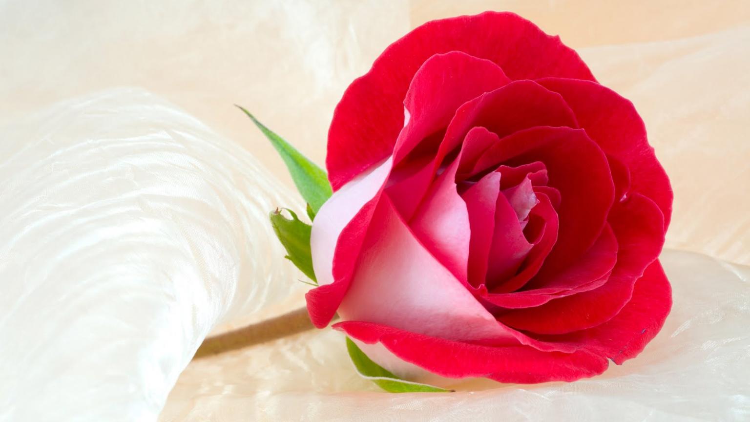 1536x864 Free download Wallpaper Facebook Cover Animated Car Wallpaper pure heart love [1600x1000] for your Desktop, Mobile & Tablet. Explore Pure Romance Wallpaper. Free Romantic Wallpaper, Romantic Anime Wallpaper, My