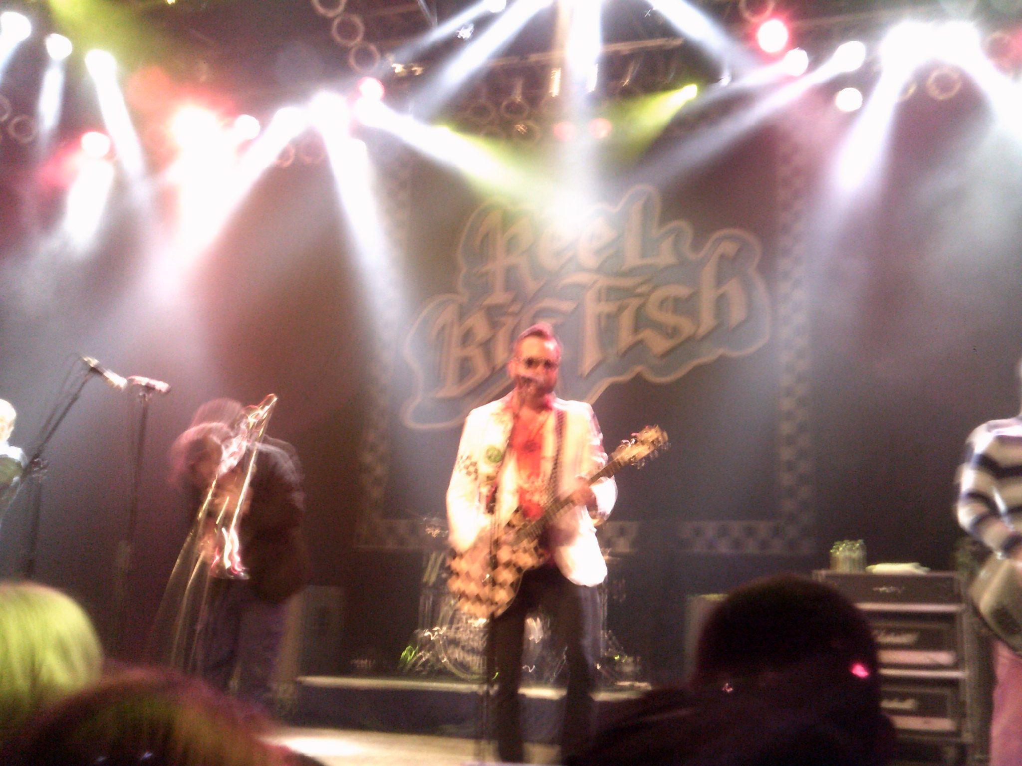 Reel Big Fish Wallpapers - Top Free Reel Big Fish Backgrounds