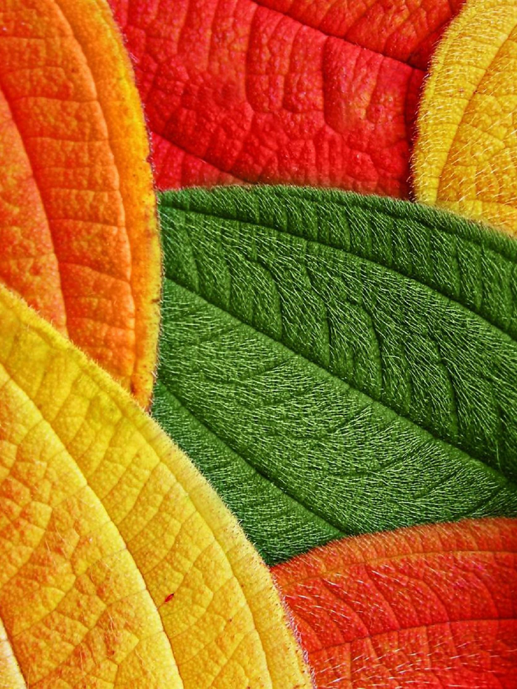 1668x2224 Background HD Wallpaper