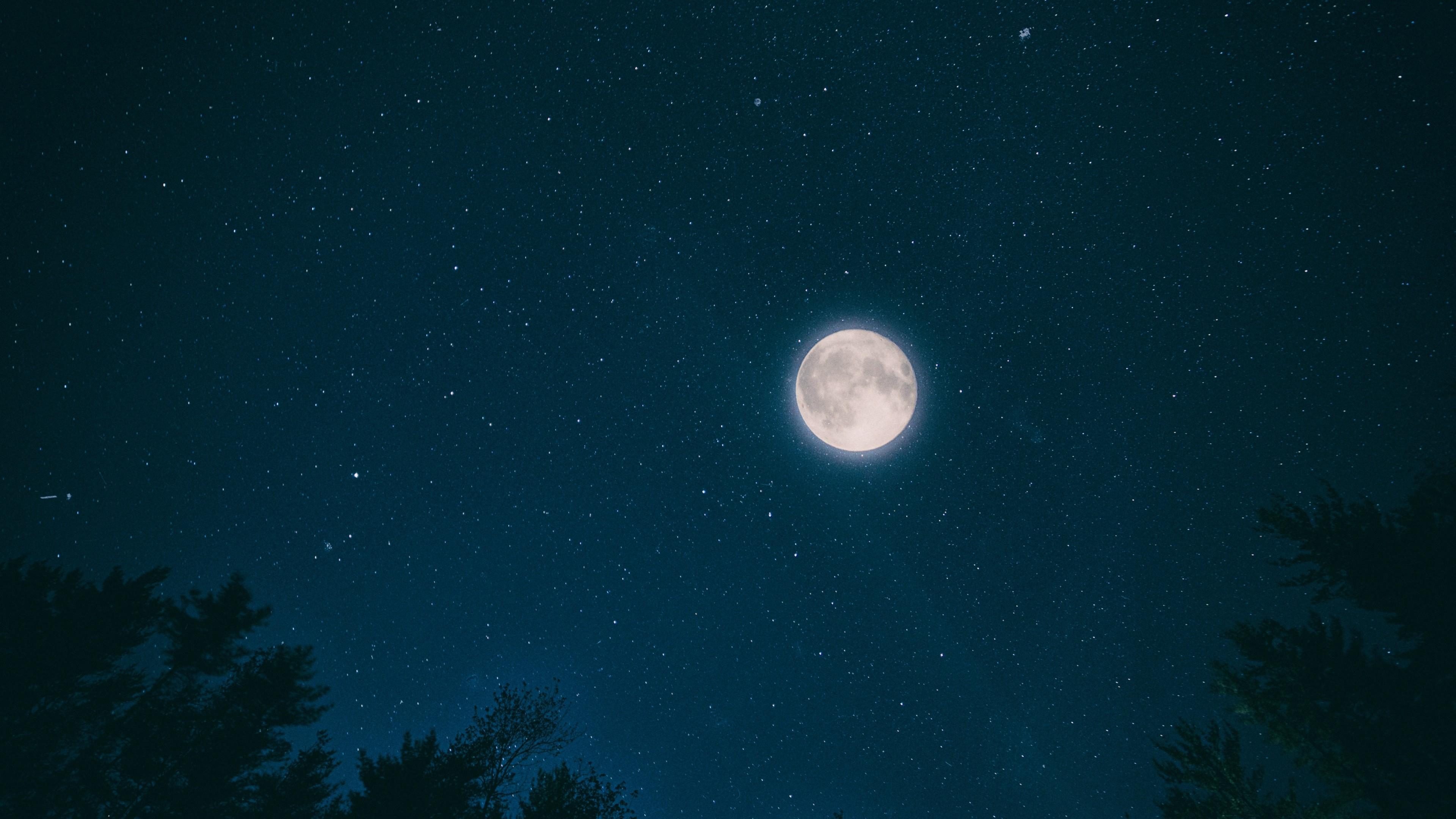 3840x2160 Stock Image night, sky, moon, stars, forest, 4k, Stock Image