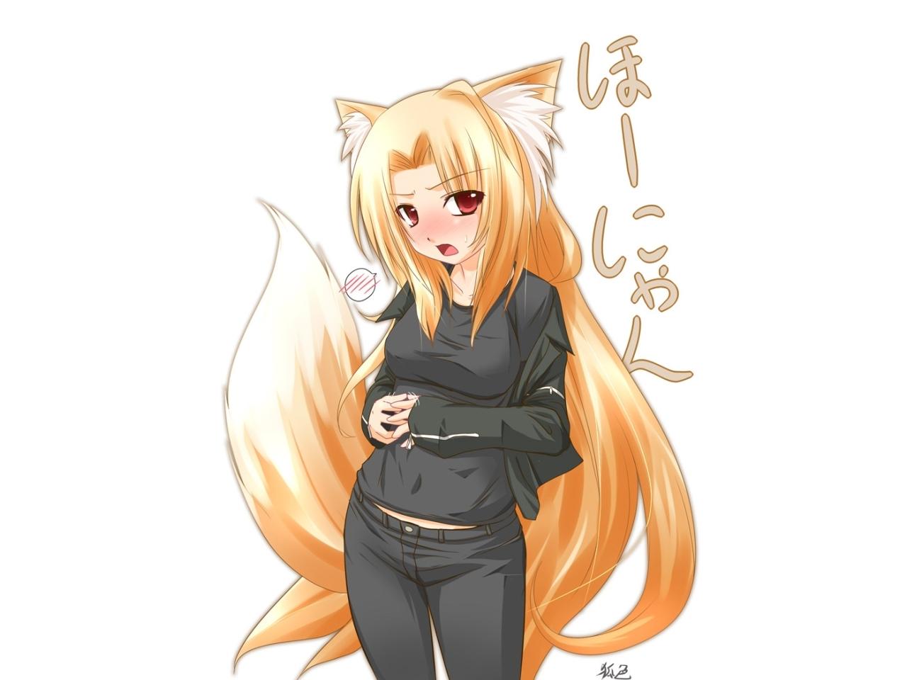 1280x960 Download Wallpaper, Download 1920x1440 nekomimi anime fox girls anime girls white background 1280x960 wallpaper Animals HD Wallpaper, Hi Res Animals Wallpaper, High Definition Wallpaper