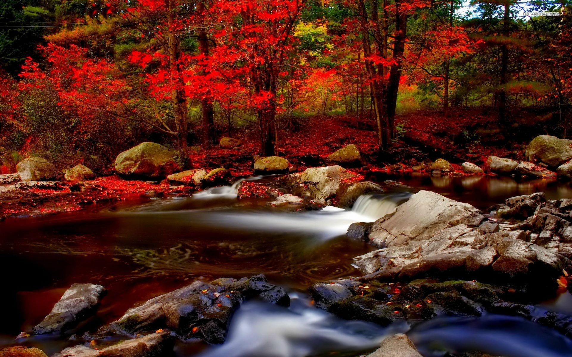 1920x1200 autumn wallpaper 121