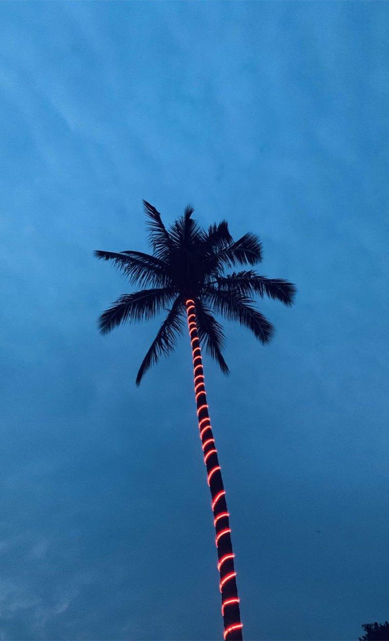 759x1250 Evening blue sky iPhone wallpaper Wallpaper