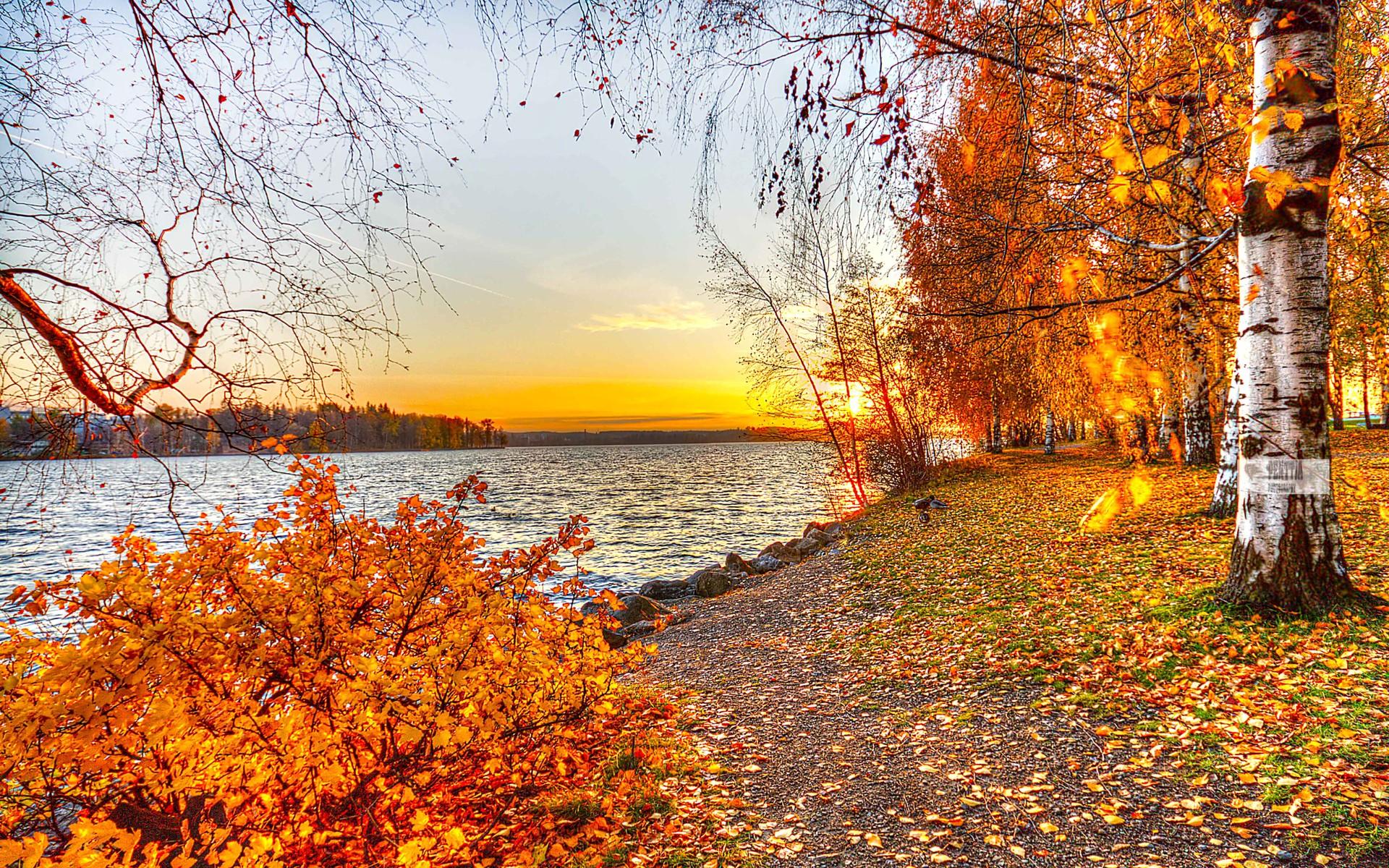 1920x1200 Fall Wallpaper 12 - [1920 x 1200]