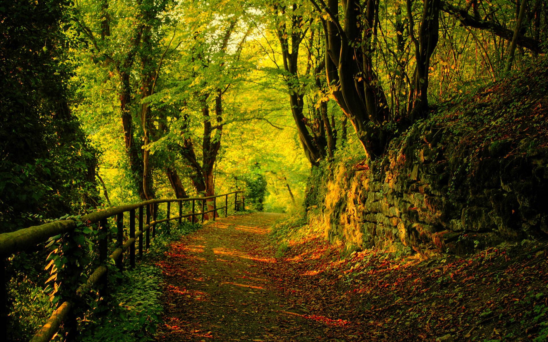 1920x1200 Autumn, wallpaper, widescreen