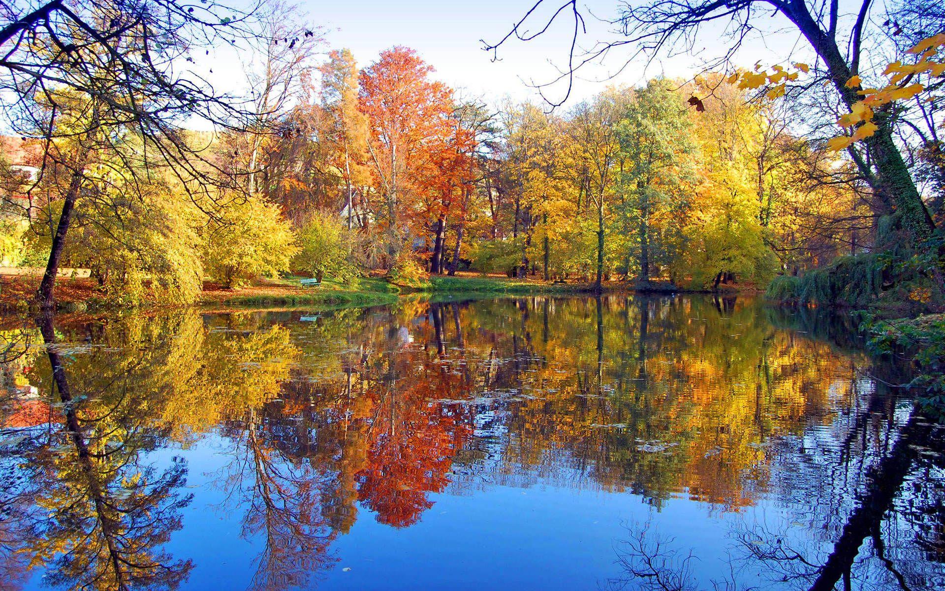 Autumn is beautiful. Ранняя осень. Пейзаж ранняя осень. Осеннее озеро. Золотая осень озеро.