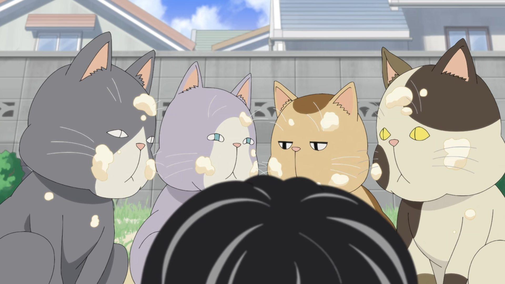 1920x1080 Netflix's Kotaro Lives Alone Review: A Beautiful And Emotional Masterpiece