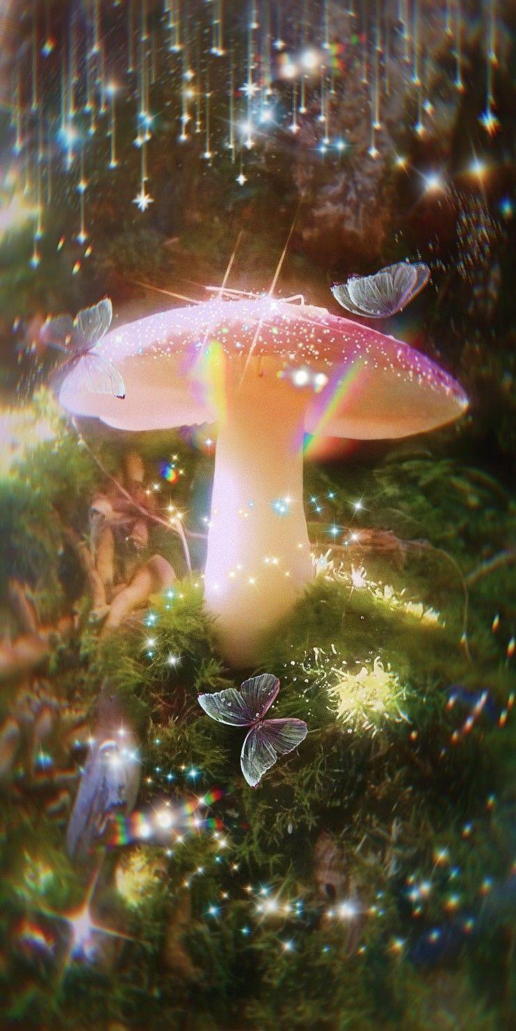 Mushroom Frog Wallpapers - Top Free Mushroom Frog Backgrounds ...