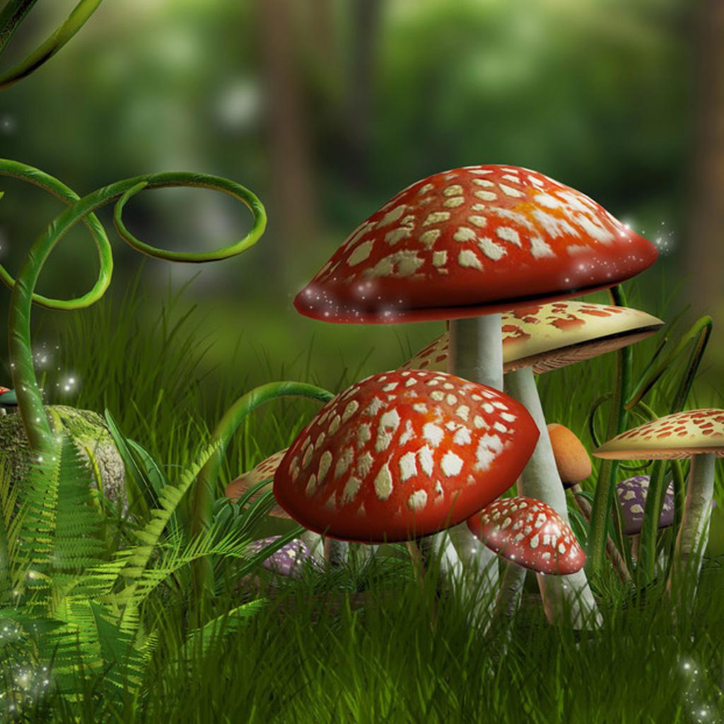 1024x1024 Free download mushroom background iPad Background Best iPad Wallpaper [1024x1024] for your Desktop, Mobile & Tablet. Explore Mushrooms Wallpaper. Shroom Wallpaper, Mario Mushroom Wallpaper, Morel Mushroom Wallpaper