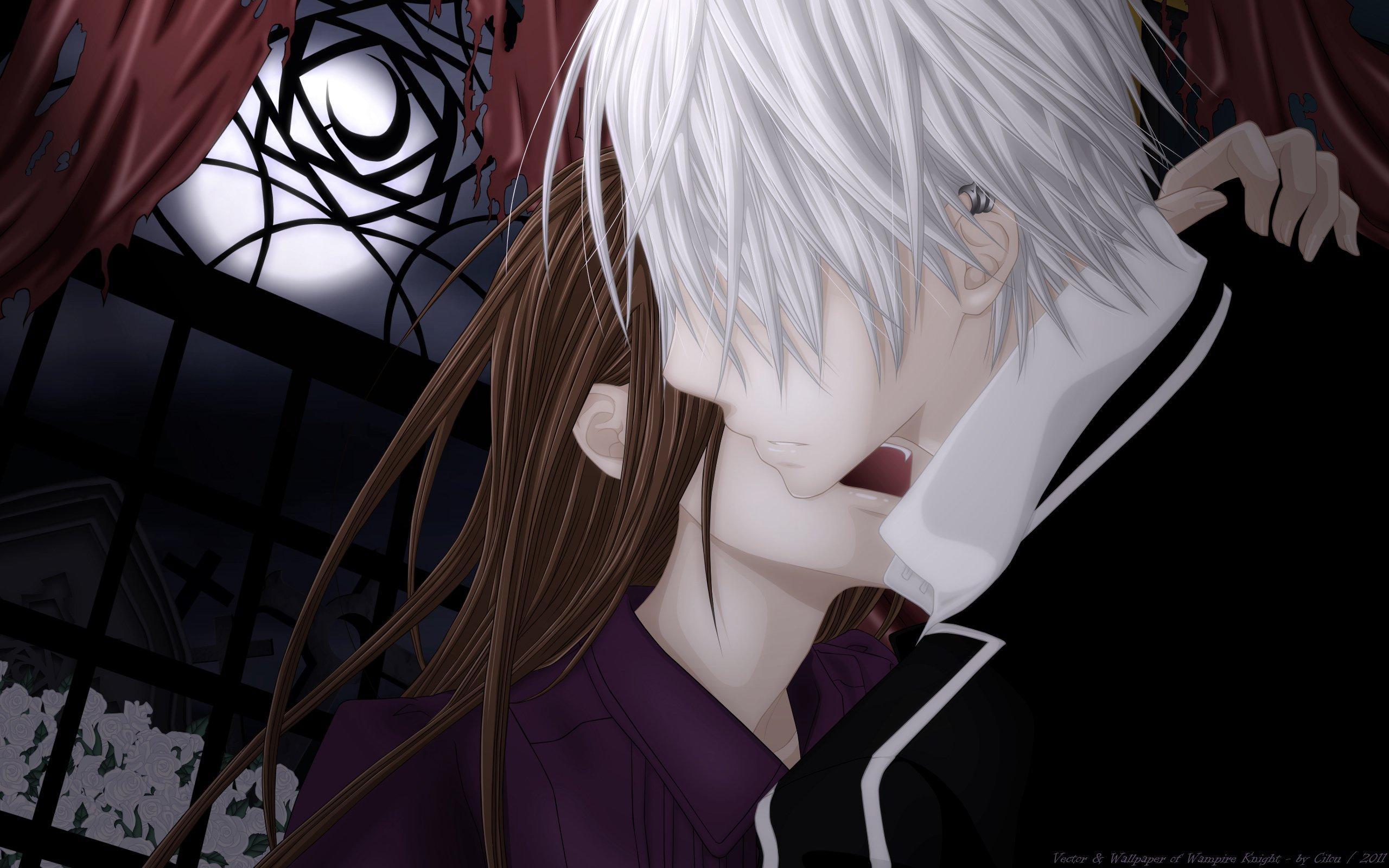 2560x1600 Anime Vampire Desktop Widescreen Wallpaper 106639