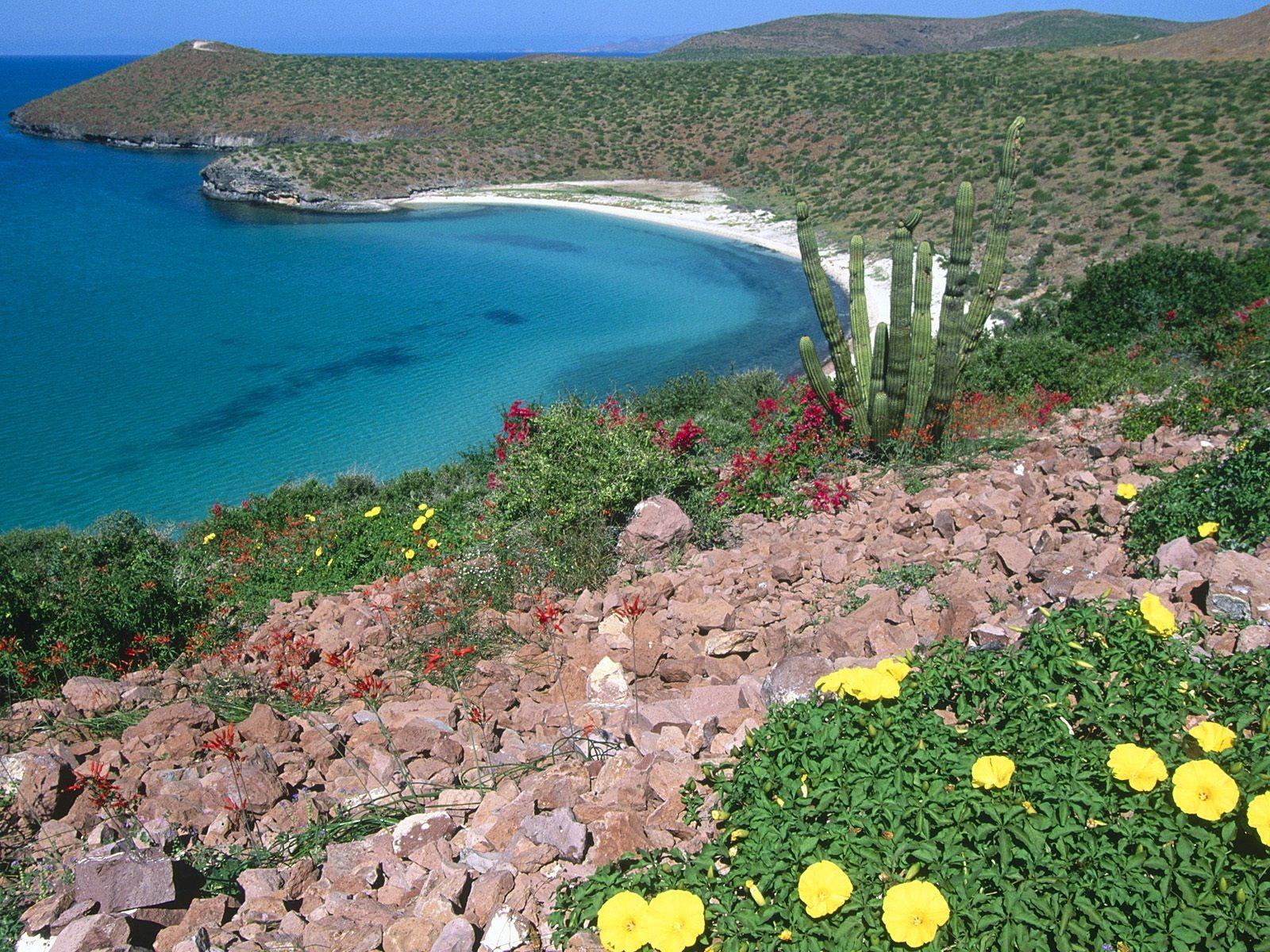 1600x1200 La Paz Mexico