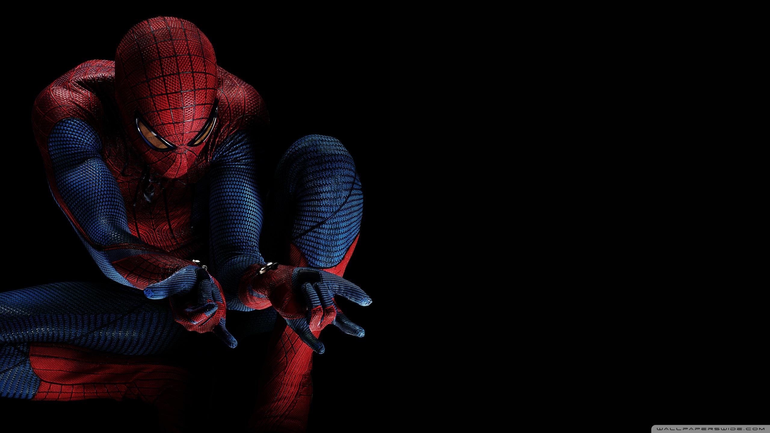 2560x1440 Amazing Spiderman 2012 Suit
