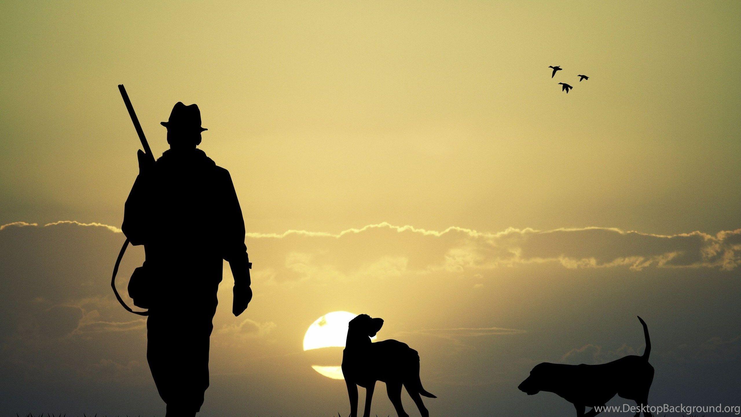 Hunting Dog Pictures  Download Free Images on Unsplash