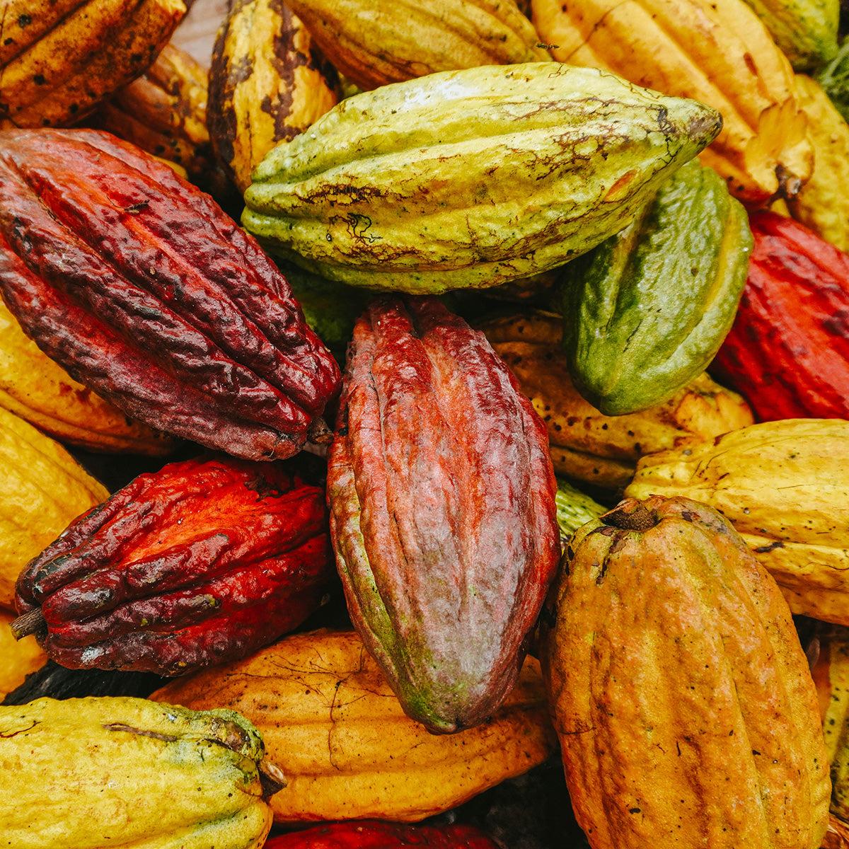 Cacao Wallpapers - Top Free Cacao Backgrounds - WallpaperAccess