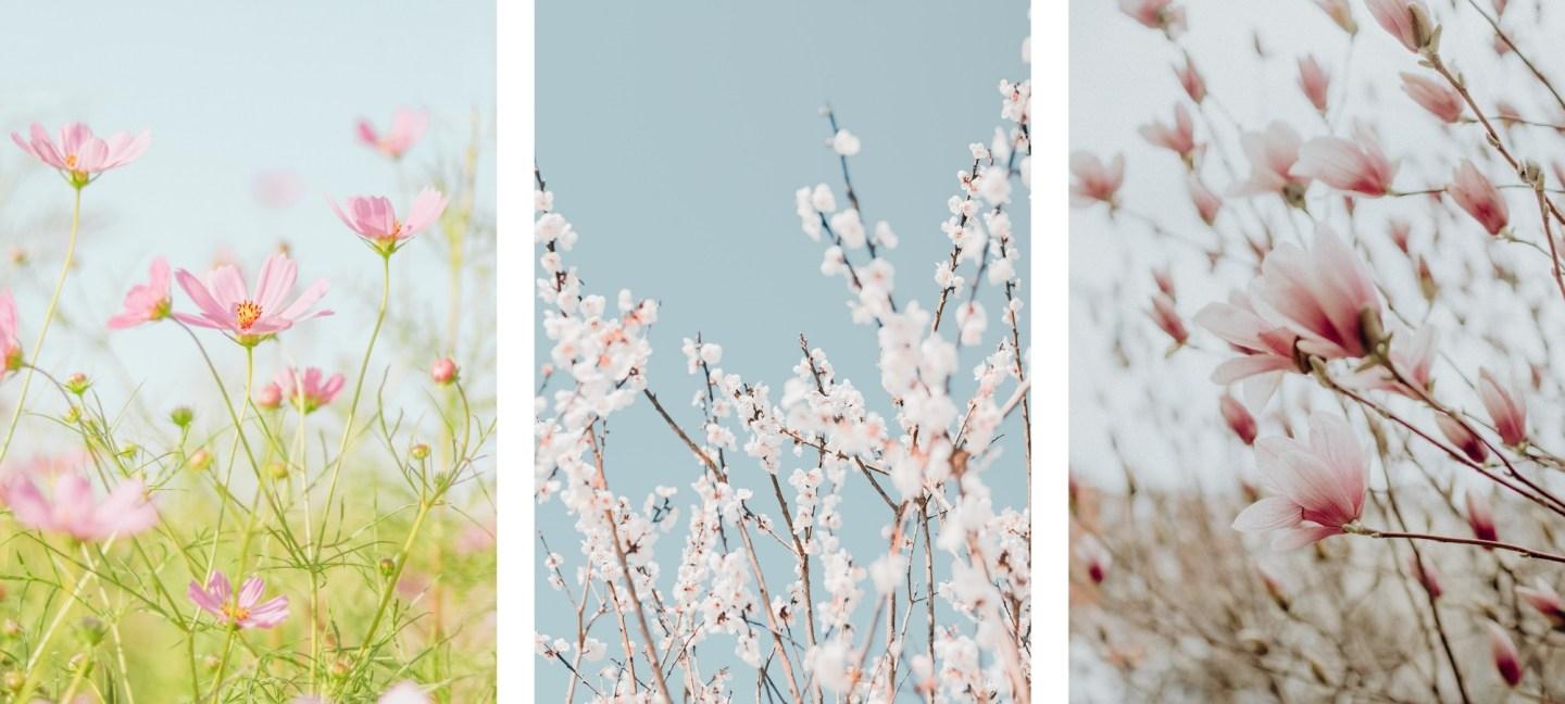 1440x648 Girly Wallpaper For iPhone You Will Love of the Snow
