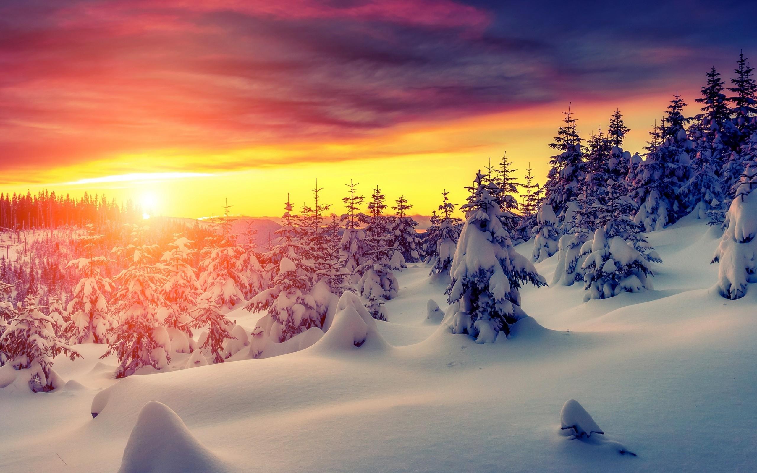 2560x1600 4k ultra HD wallpaper, winter, natural landscape, water, nature, snow
