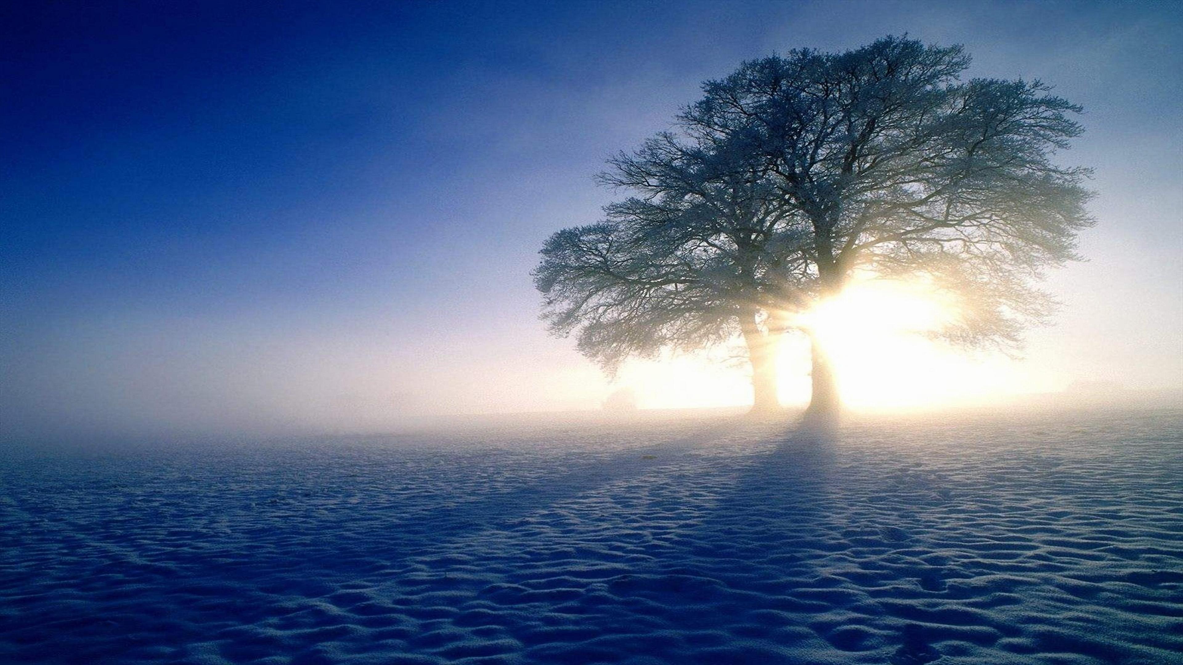 3840x2160 4K Ultra HD Winter Wallpaper and Background Image