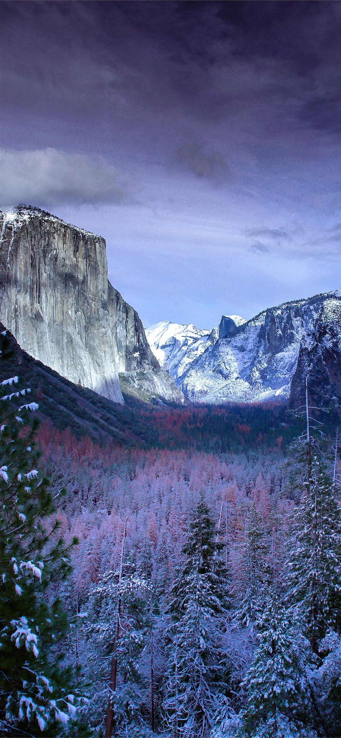 1170x2532 iPhone 12 Wallpaper. iphone wallpaper, wallpaper, iphone