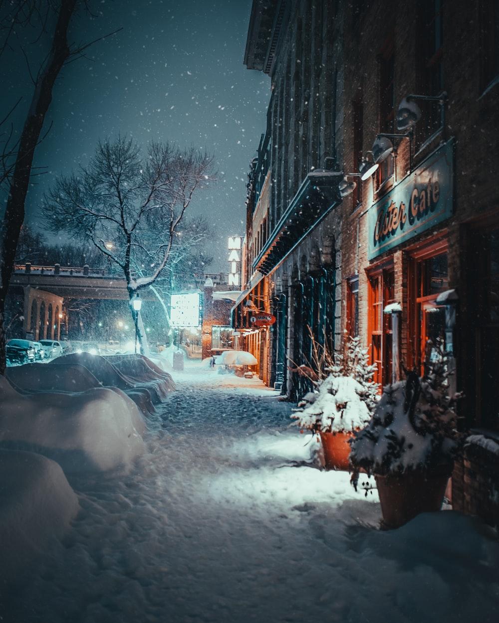 1000x1250 Winter Wallpaper: Free HD Download [HQ]