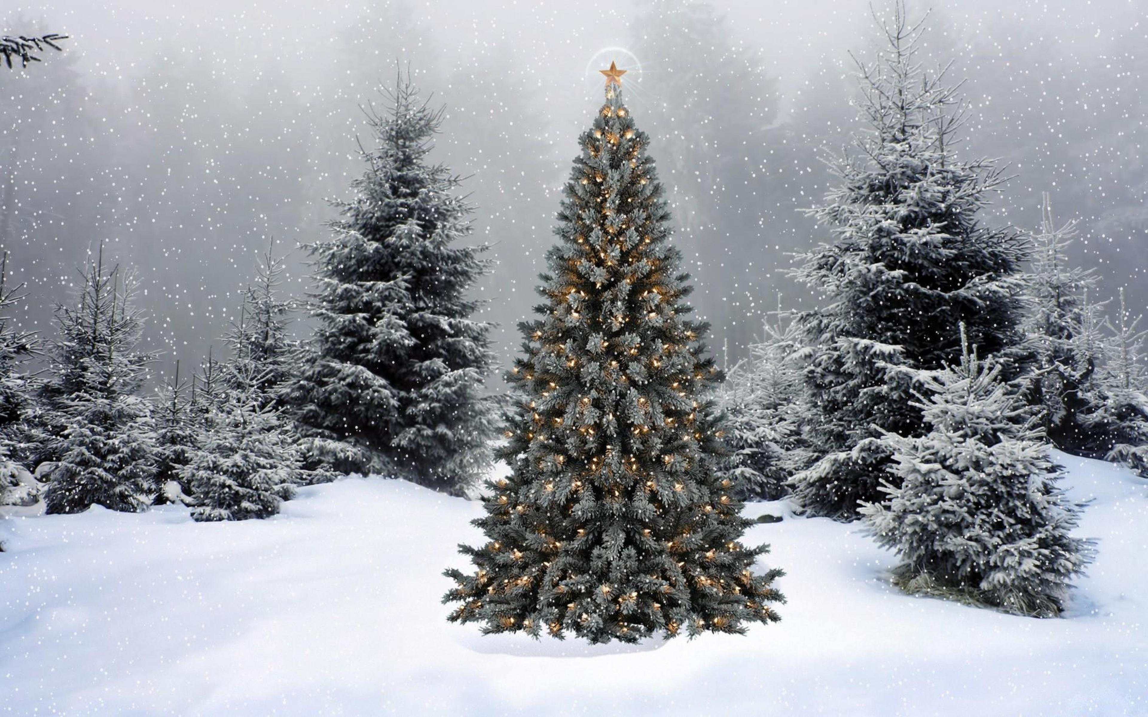 3840x2400 4K Christmas Wallpaper