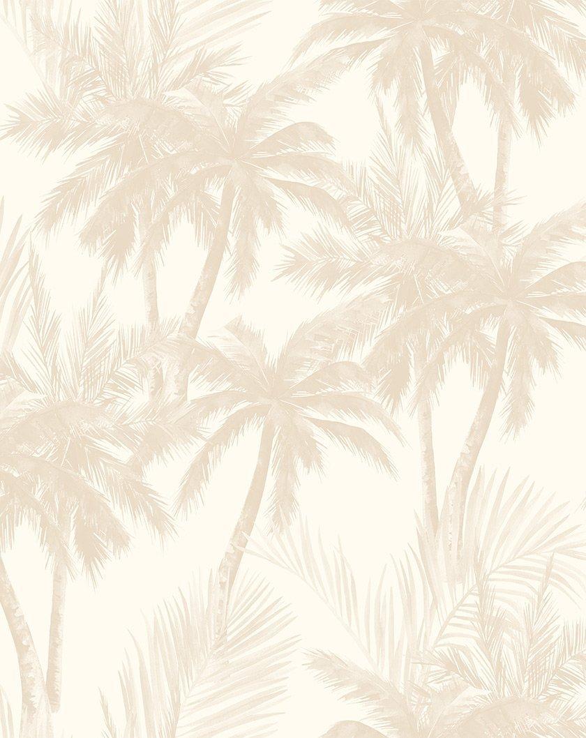 Gold Palm Trees Wallpapers - Top Free Gold Palm Trees Backgrounds