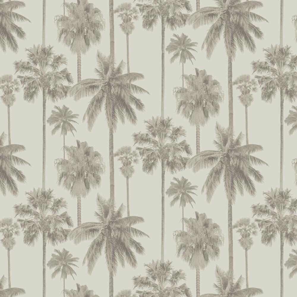 1000x1000 California Palm by SketchTwenty 3 : Wallpaper Direct