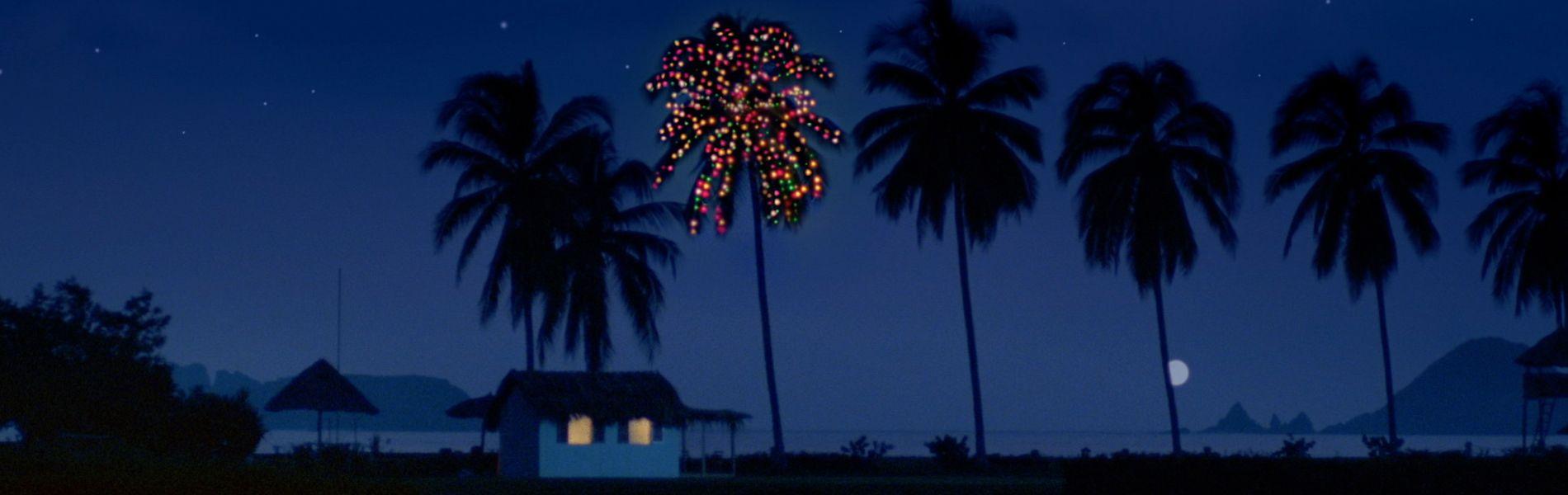 1900x600 Corona Christmas Palm Tree Wallpaper, HD Background