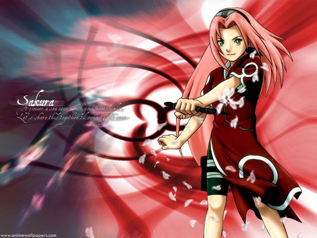 1024x768 Sakura Haruno Wallpaper HD