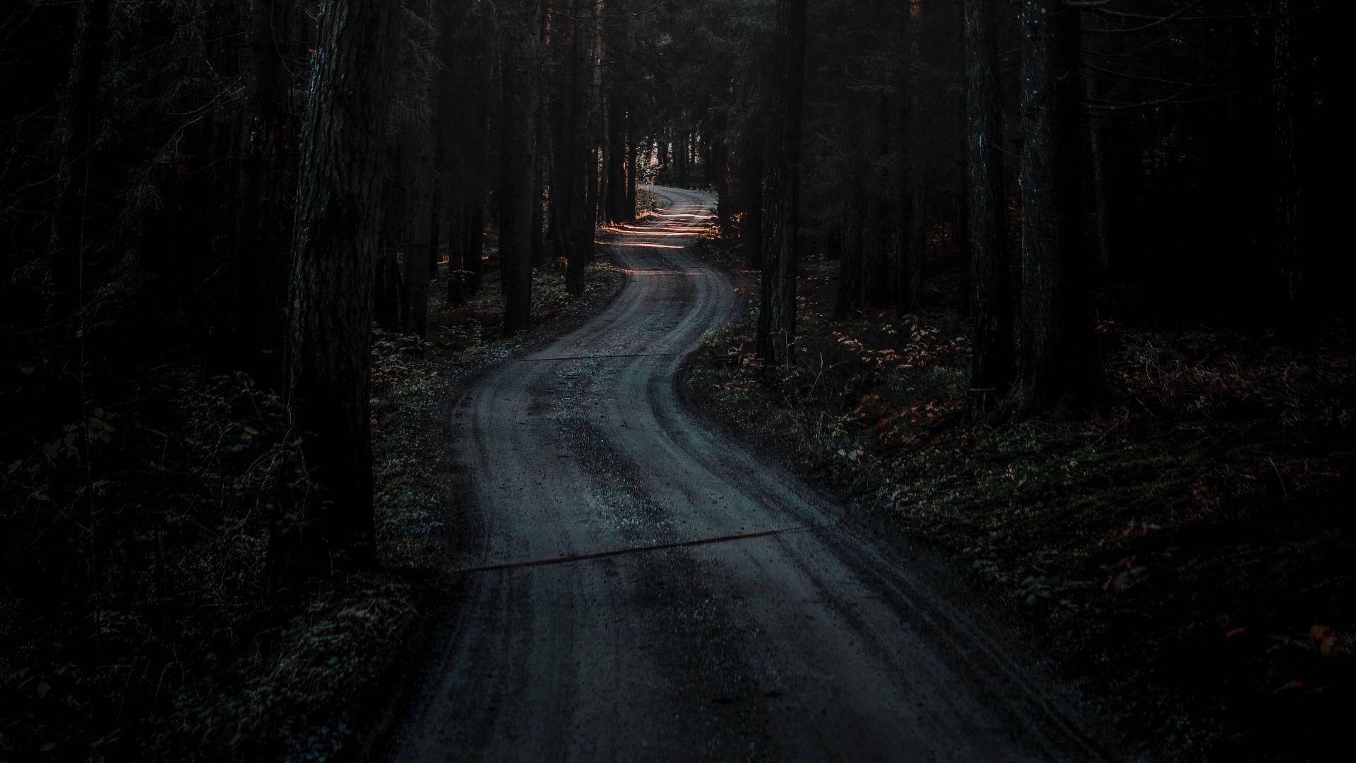1920x1080 Dark Forest Wallpaper Best Dark Forest Background, Image