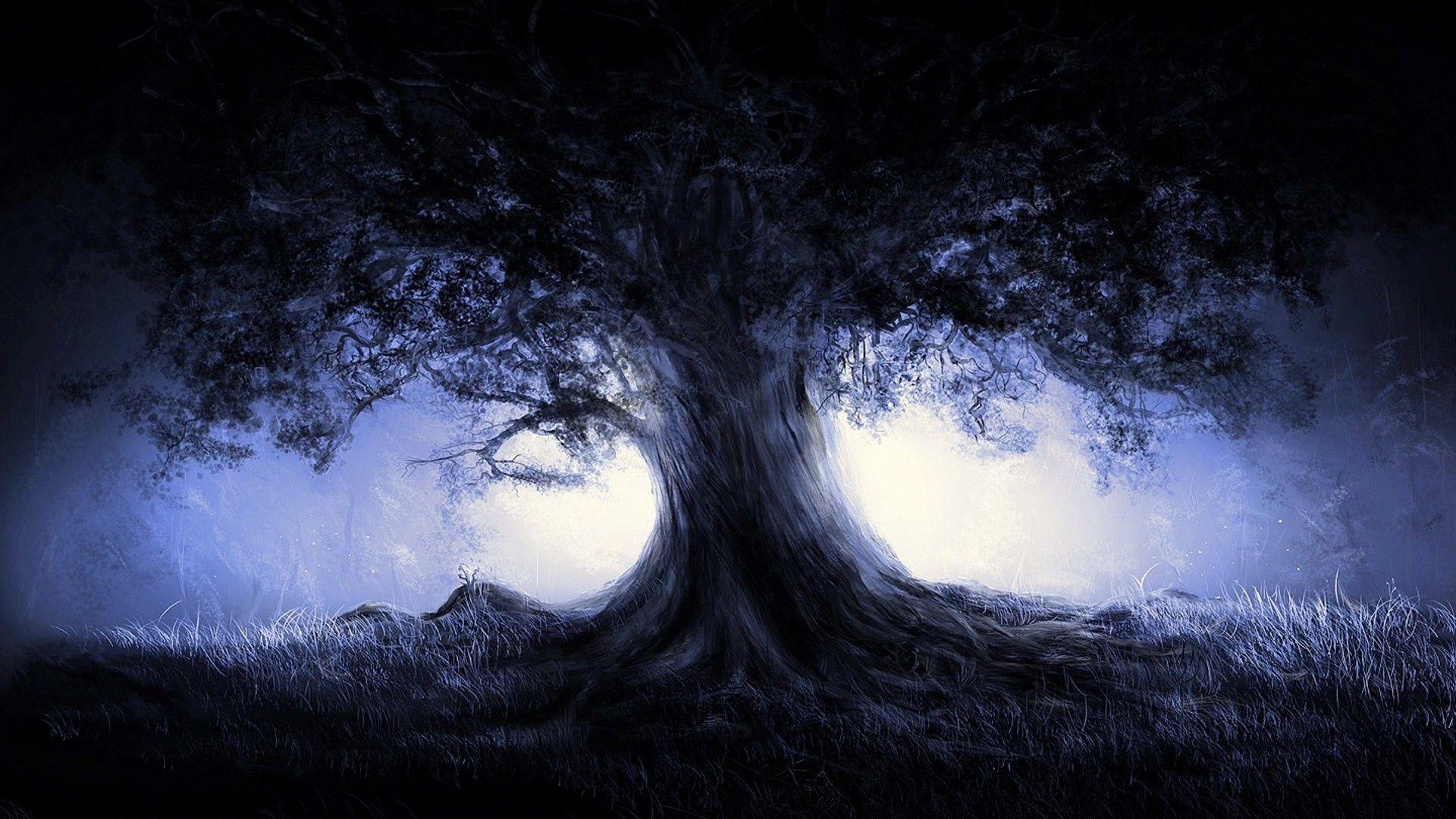 1920x1080 Tree In The Dark Forest Wallpaper Nature Cool Background Wallpaper & Background Download