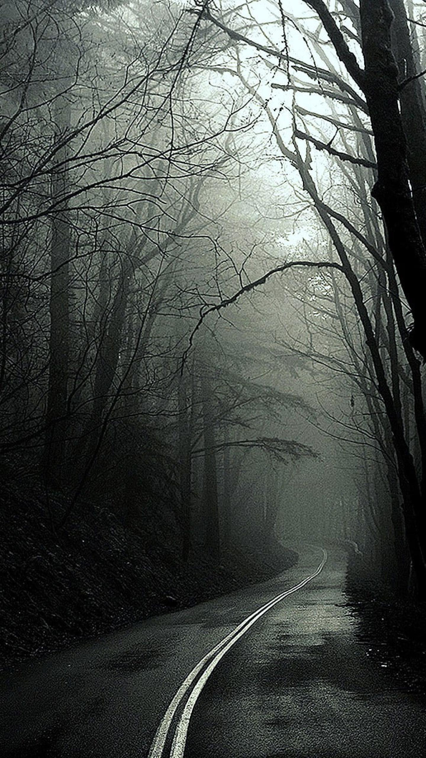 1440x2560 Black Dark Forest Wallpaper, Monochrome, Roads, Trees, White • Wallpaper For You