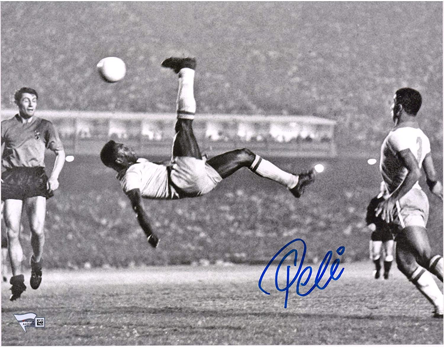 1500x1176 Pele Brazil F.C. Autographed 11 x 14 Black & White Bicycle Kick Photograph Signed in Blue Soccer Photo at Amazon's Sports Collectibles Store