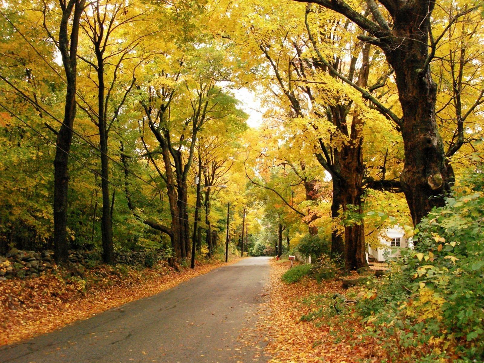 1600x1200 iWallpaper: AUTUMN WALLPAPERS. November wallpaper, Landscape, Scenery