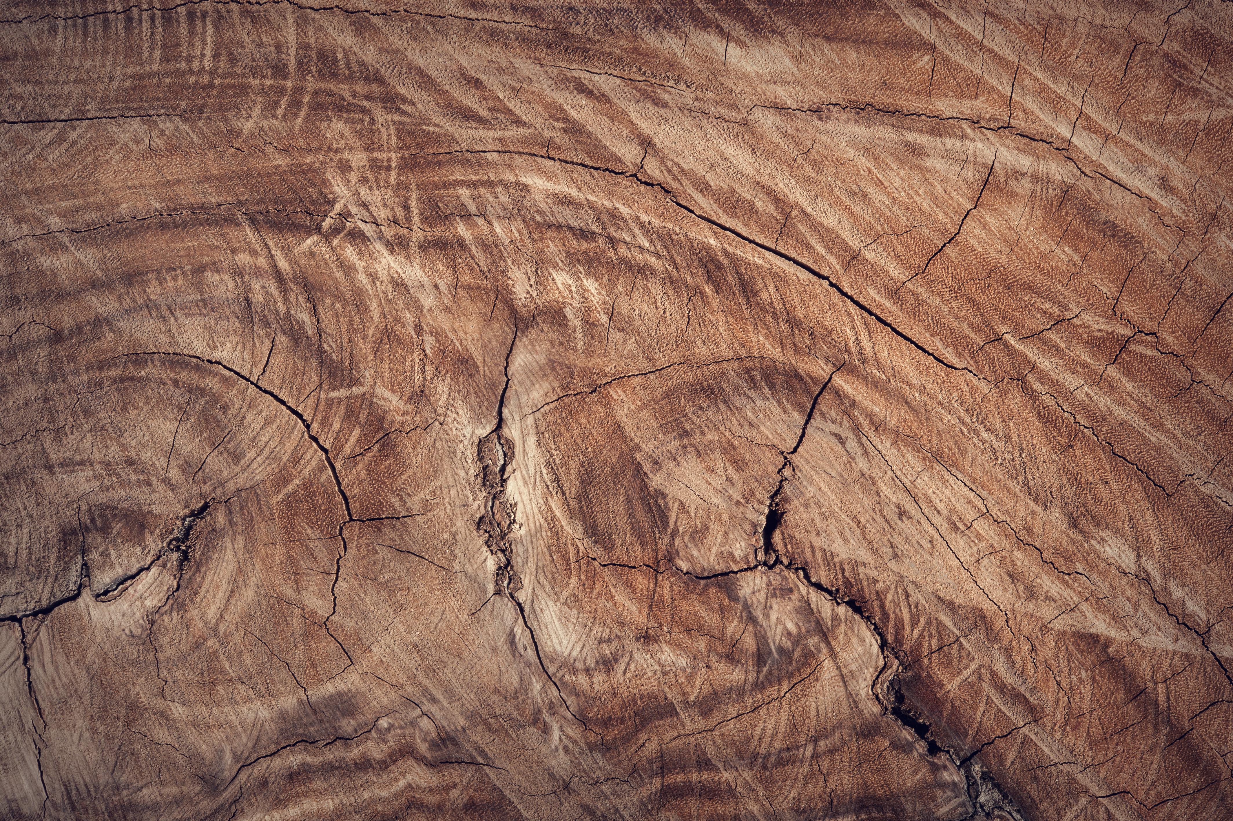 4256x2832 Brown Wood Surface · Free