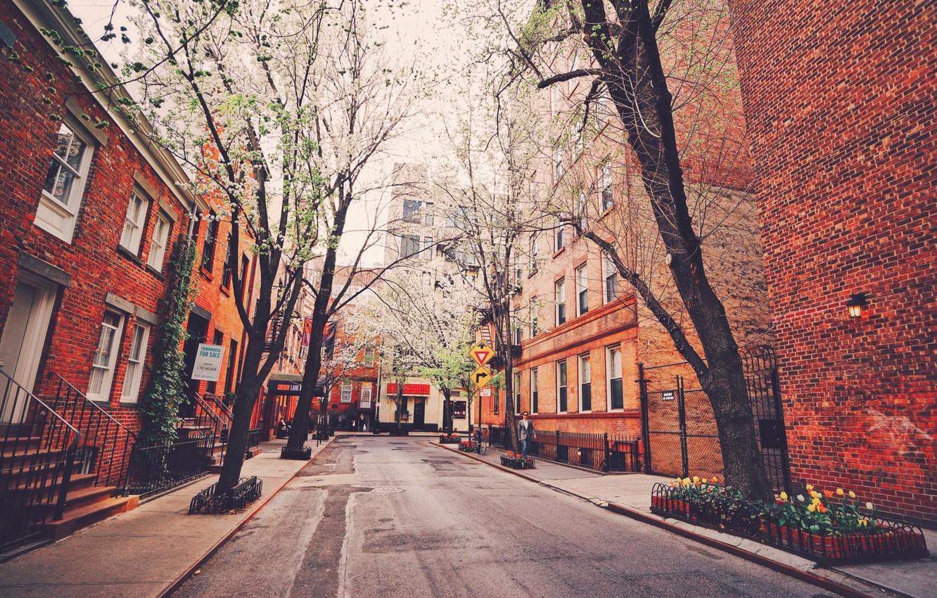 1332x850 Wallpaper trees, street, New York, United States, the garden in the spring image for desktop, section город