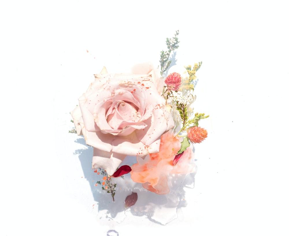 1000x816 Watercolor Flower Picture. Download Free Image