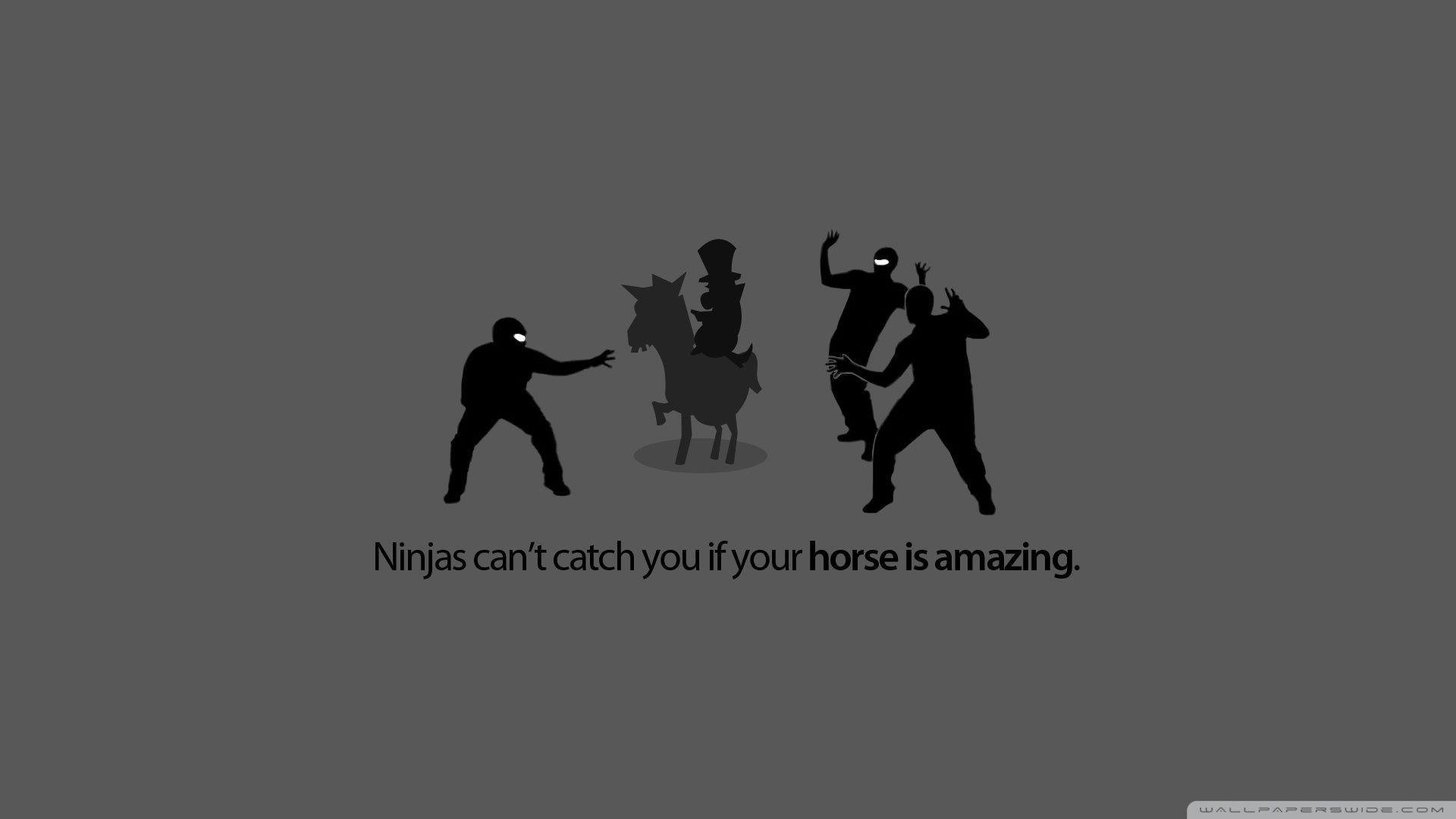 1920x1080 Funny Ninja Wallpaper
