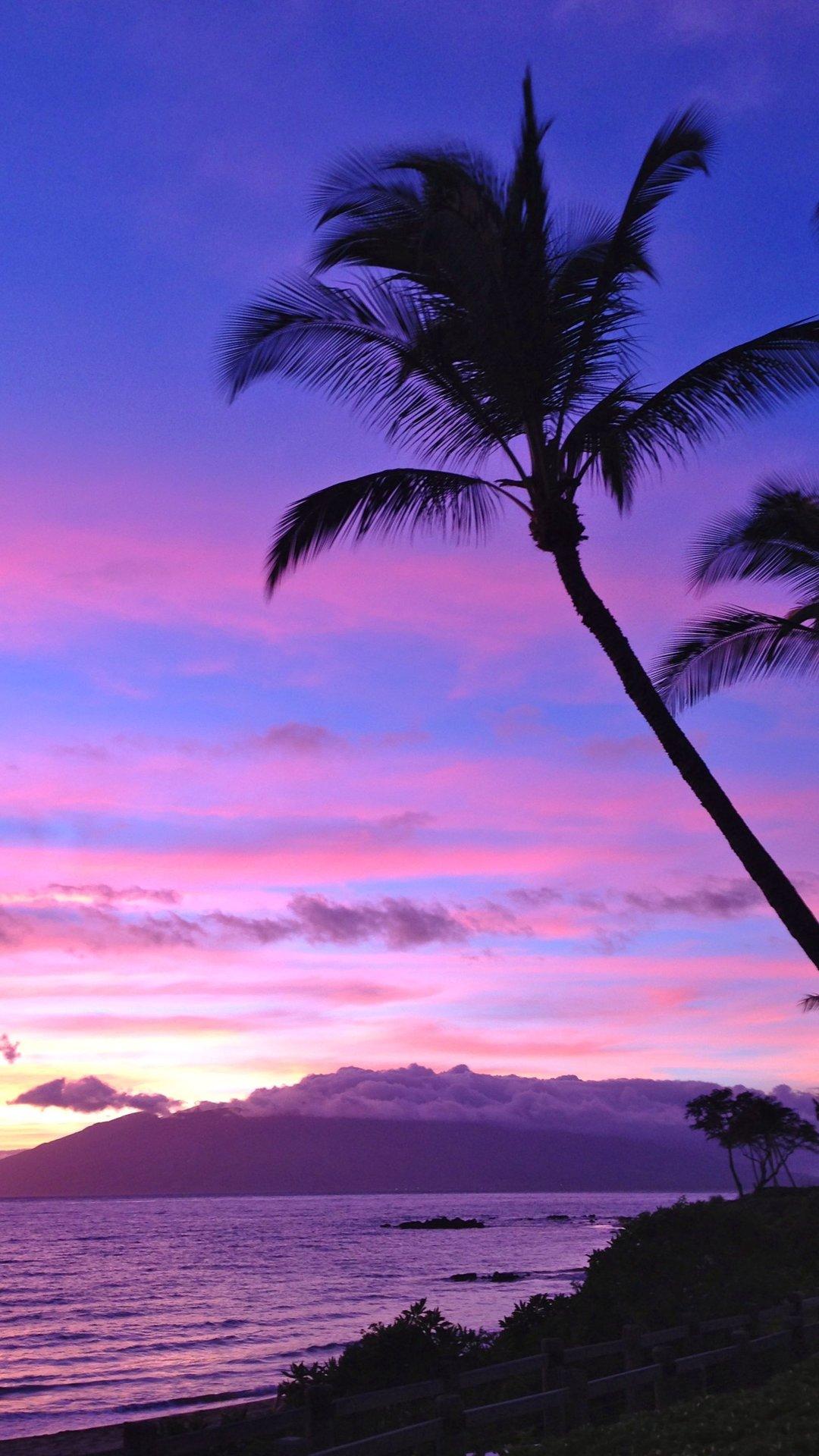 1080x1920 Purple Sunset