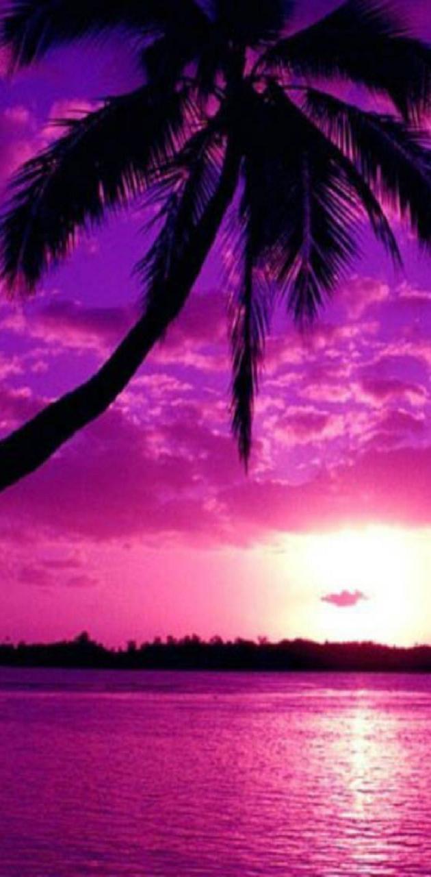 Purple Beach Sunset iPhone Wallpapers - Top Free Purple Beach Sunset ...